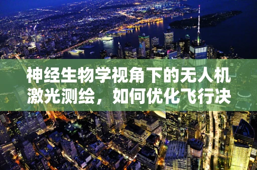 神经生物学视角下的无人机激光测绘，如何优化飞行决策？