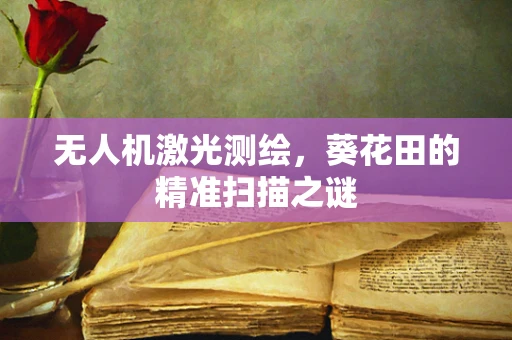 无人机激光测绘，葵花田的精准扫描之谜