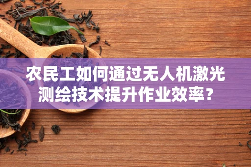 农民工如何通过无人机激光测绘技术提升作业效率？