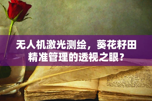 无人机激光测绘，葵花籽田精准管理的透视之眼？