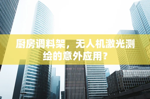 厨房调料架，无人机激光测绘的意外应用？