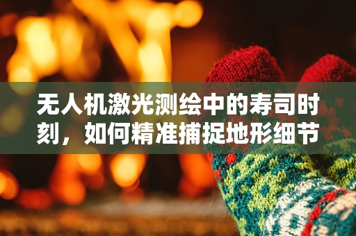 无人机激光测绘中的寿司时刻，如何精准捕捉地形细节？
