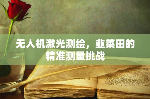 无人机激光测绘，韭菜田的精准测量挑战