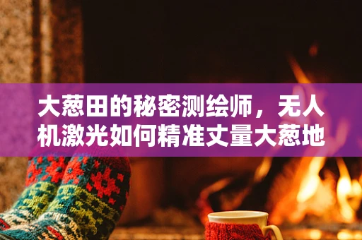 大葱田的秘密测绘师，无人机激光如何精准丈量大葱地界？