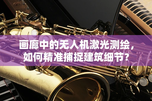 画廊中的无人机激光测绘，如何精准捕捉建筑细节？