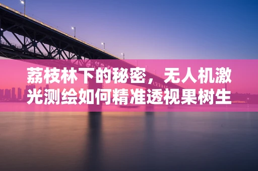 荔枝林下的秘密，无人机激光测绘如何精准透视果树生长？