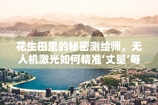 花生田里的秘密测绘师，无人机激光如何精准‘丈量’每一粒果实？