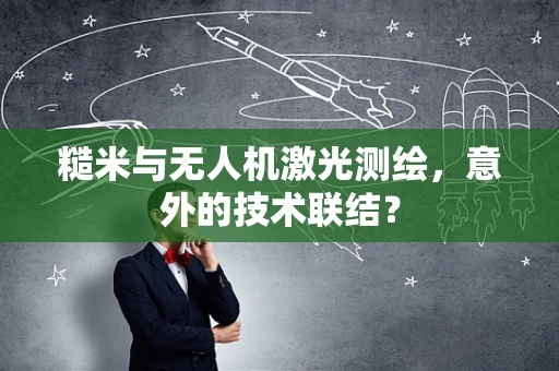 糙米与无人机激光测绘，意外的技术联结？