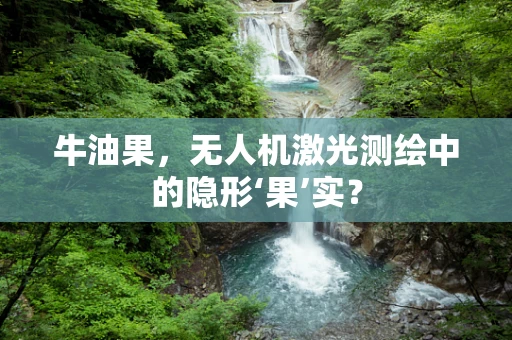 牛油果，无人机激光测绘中的隐形‘果’实？
