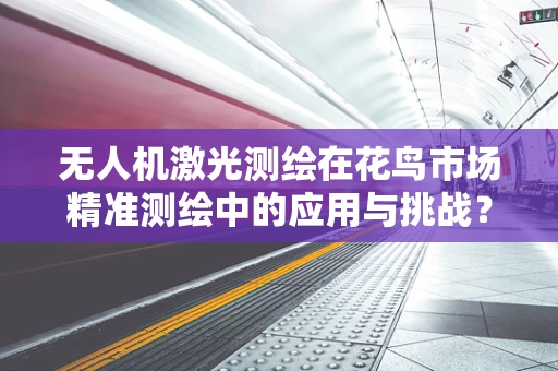 无人机激光测绘在花鸟市场精准测绘中的应用与挑战？