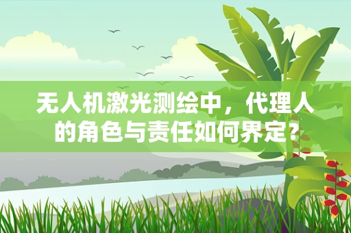 无人机激光测绘中，代理人的角色与责任如何界定？