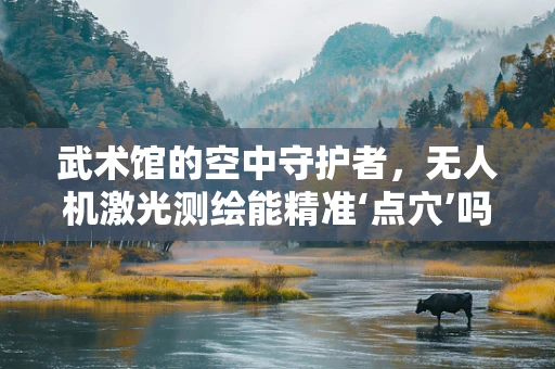 武术馆的空中守护者，无人机激光测绘能精准‘点穴’吗？