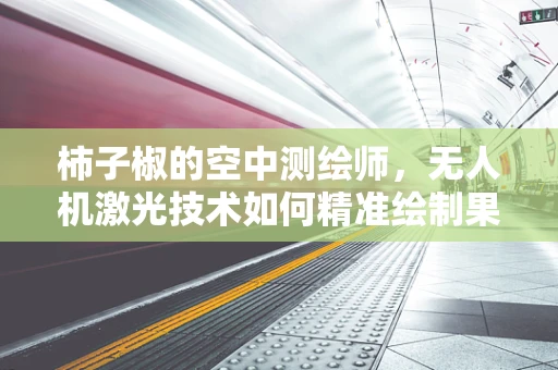 柿子椒的空中测绘师，无人机激光技术如何精准绘制果林地图？