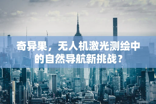 奇异果，无人机激光测绘中的自然导航新挑战？