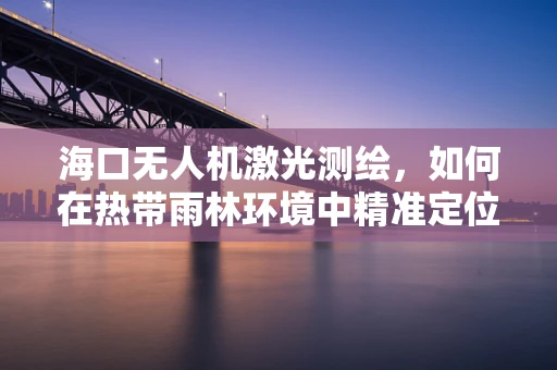 海口无人机激光测绘，如何在热带雨林环境中精准定位？