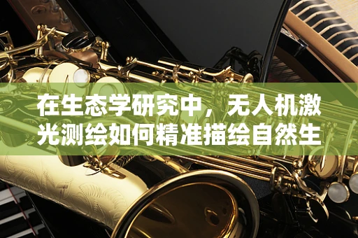 在生态学研究中，无人机激光测绘如何精准描绘自然生态的‘微妙脉搏’？