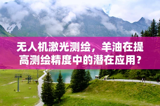 无人机激光测绘，羊油在提高测绘精度中的潜在应用？
