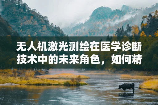 无人机激光测绘在医学诊断技术中的未来角色，如何精准定位与三维重建？