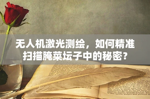 无人机激光测绘，如何精准扫描腌菜坛子中的秘密？