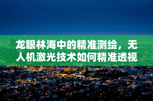 龙眼林海中的精准测绘，无人机激光技术如何精准透视？