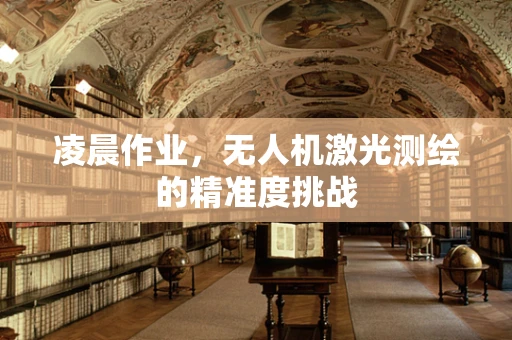 凌晨作业，无人机激光测绘的精准度挑战