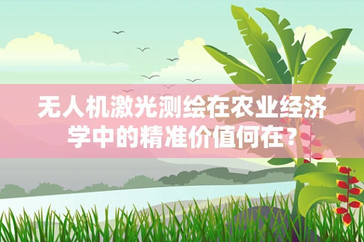 无人机激光测绘在农业经济学中的精准价值何在？