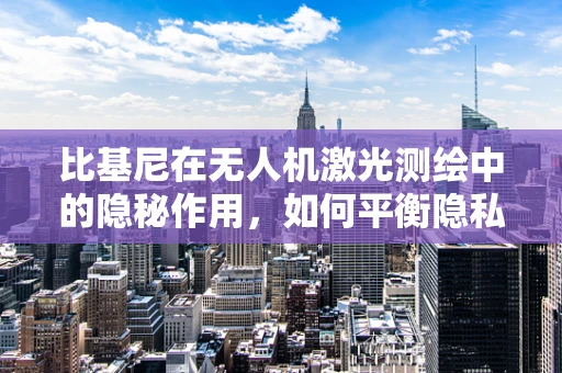 比基尼在无人机激光测绘中的隐秘作用，如何平衡隐私与测绘精度？