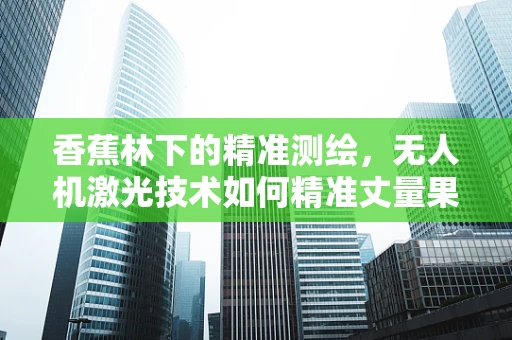香蕉林下的精准测绘，无人机激光技术如何精准丈量果林？