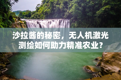 沙拉酱的秘密，无人机激光测绘如何助力精准农业？