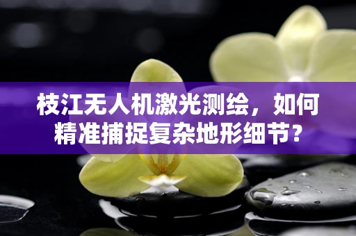 枝江无人机激光测绘，如何精准捕捉复杂地形细节？