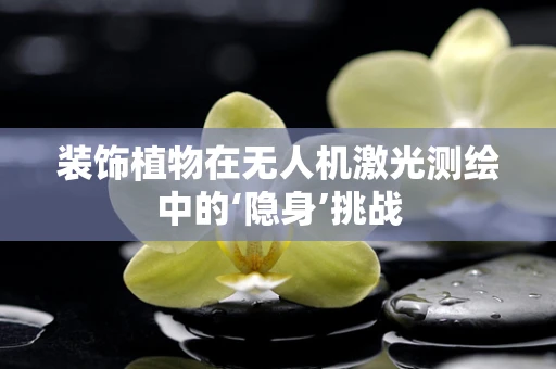 装饰植物在无人机激光测绘中的‘隐身’挑战