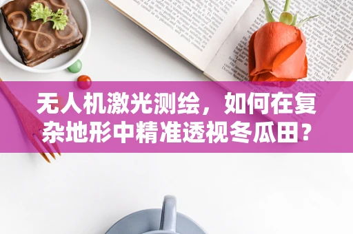 无人机激光测绘，如何在复杂地形中精准透视冬瓜田？