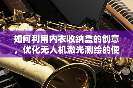 如何利用内衣收纳盒的创意，优化无人机激光测绘的便携性与保护性？