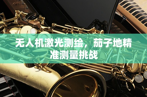 无人机激光测绘，茄子地精准测量挑战
