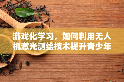 游戏化学习，如何利用无人机激光测绘技术提升青少年空间感知能力？