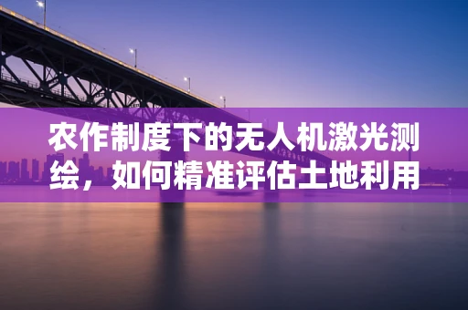 农作制度下的无人机激光测绘，如何精准评估土地利用效率？