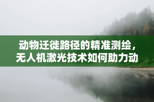 动物迁徙路径的精准测绘，无人机激光技术如何助力动物学研究？