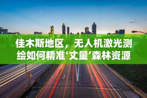 佳木斯地区，无人机激光测绘如何精准‘丈量’森林资源？