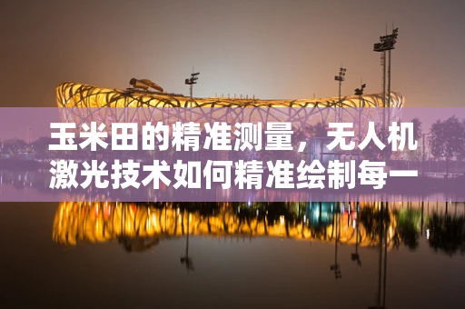 玉米田的精准测量，无人机激光技术如何精准绘制每一株玉米的‘身高图鉴’？