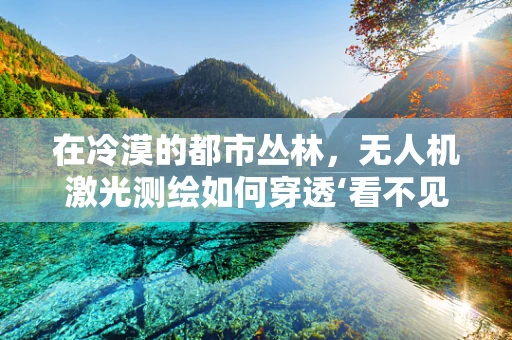 在冷漠的都市丛林，无人机激光测绘如何穿透‘看不见’的真相？