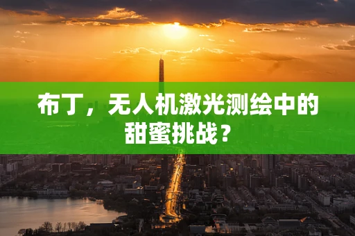 布丁，无人机激光测绘中的甜蜜挑战？