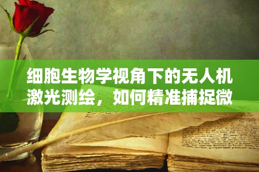 细胞生物学视角下的无人机激光测绘，如何精准捕捉微观世界？