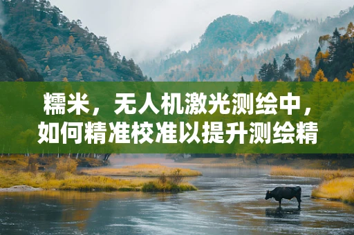 糯米，无人机激光测绘中，如何精准校准以提升测绘精度？