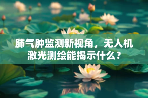 肺气肿监测新视角，无人机激光测绘能揭示什么？