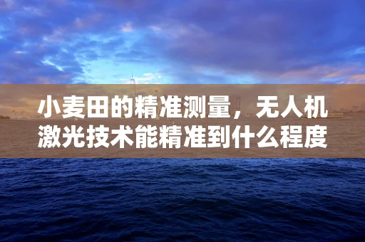 小麦田的精准测量，无人机激光技术能精准到什么程度？