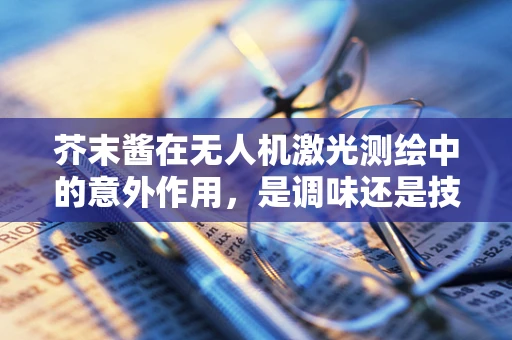 芥末酱在无人机激光测绘中的意外作用，是调味还是技术革新？