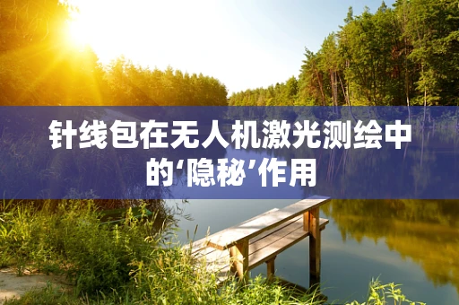 针线包在无人机激光测绘中的‘隐秘’作用