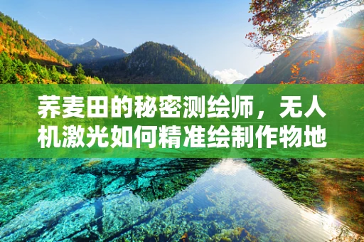 荞麦田的秘密测绘师，无人机激光如何精准绘制作物地图？