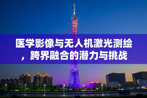 医学影像与无人机激光测绘，跨界融合的潜力与挑战