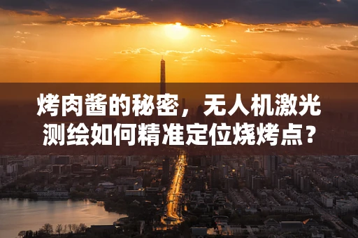 烤肉酱的秘密，无人机激光测绘如何精准定位烧烤点？